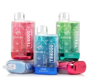 Elf Bar TE6000